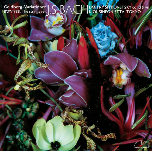 男女同房刮毛视频免费g
